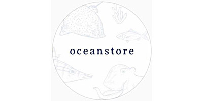 stores oceanstore