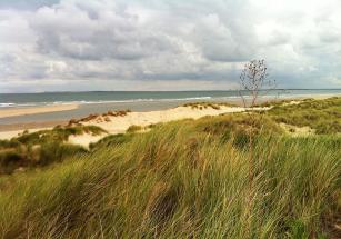 foto16-NORDSEE